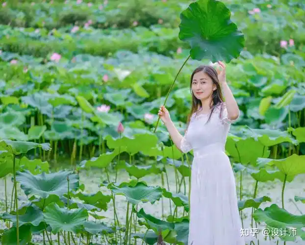又到一年荷花季荷花人像如何拍更美5个技巧拍出清新典雅的美