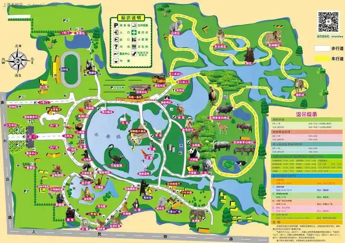 23年7/8月【奇妙乐园】上海迪士尼 海昌海洋公园/野生动物园2选1/外滩