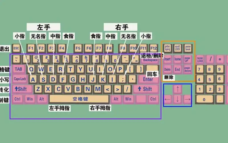 零基础学电脑打字,快速学会键盘打字,适合初学者学习