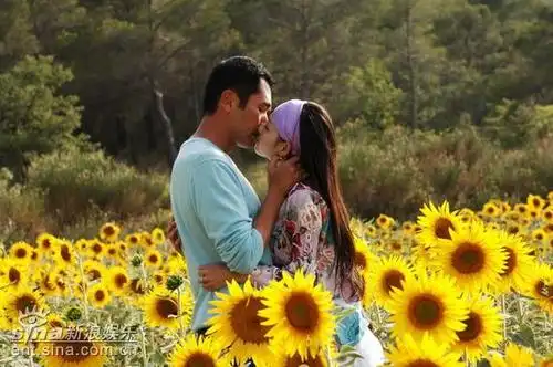 资料图片:《又见一帘幽梦》精彩剧照(26)