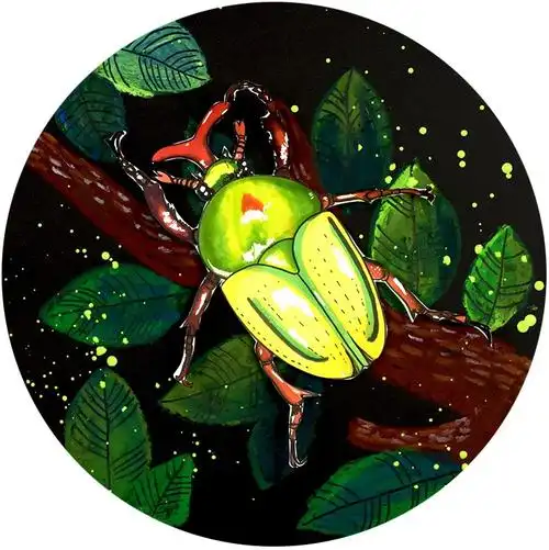 儿童画教程|甲虫