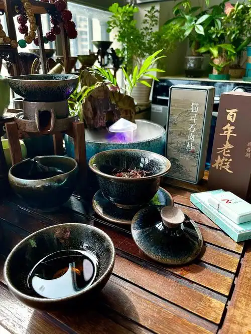 建盏喝茶
