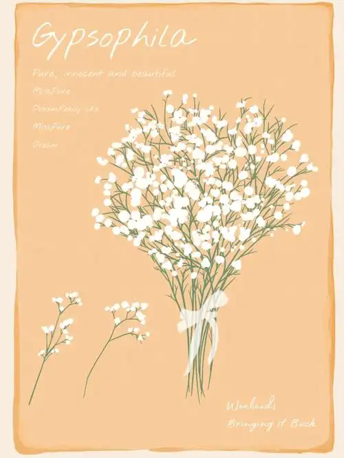 插画教程关于满天星