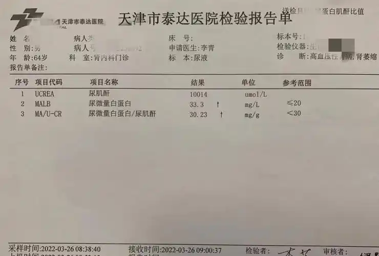 肾功能|肾小球|血肌酐|高血压|滤过率|代偿性|肾脏|萎缩|患者|检查