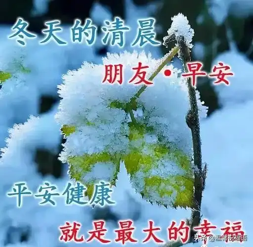 漂亮冬日天冷问候早上好图片 好看的冬日雪景早安问候祝福风景图片