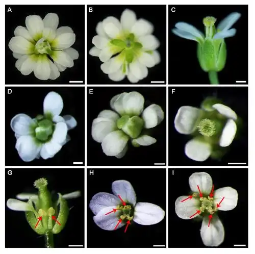 文章详情_文章展示_成果展示_市场活动_上海派森诺生物做单细胞,微生