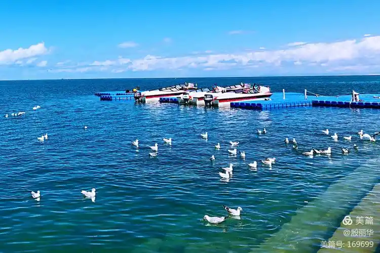 青海的马尔代夫—东台吉乃尔湖青海湖——不食人间烟火的天堂
