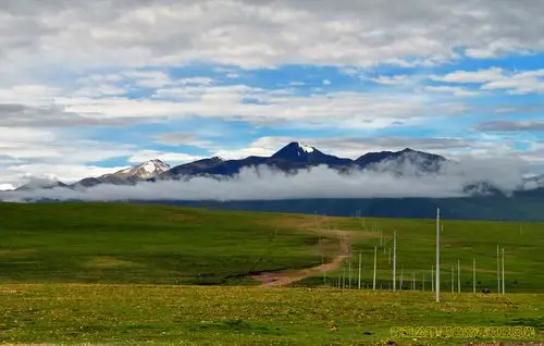 那曲高寒草原的旅游风光