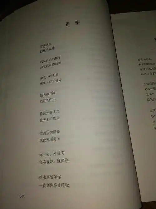 大家好,我是来自初三(11)班的蓝颖,今天,我给大家推荐的是《艾青诗选