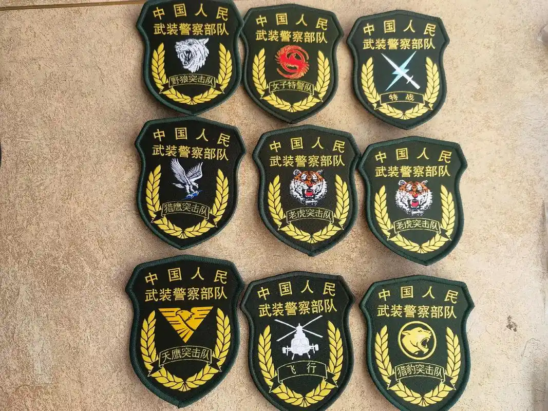 特战突击队,部分联合演练臂章.不全的请战友们在评论区留言.# - 抖音