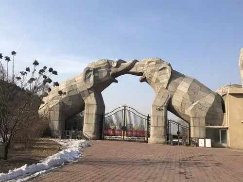 走进八达岭野生动物园