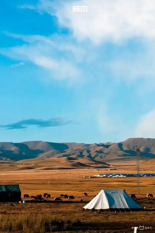 p data-id="gnx7s4idwx">金银滩草原,位于青海省  a target="_blank"