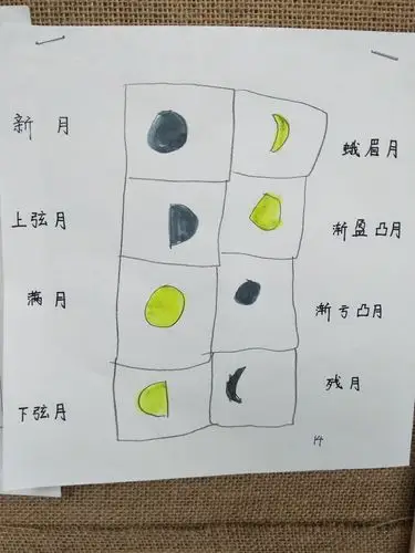 结合昨天的中教活动《月亮日记》,小朋友们还绘制了月相变化图