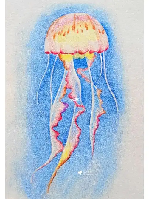 简单彩铅水母课效
