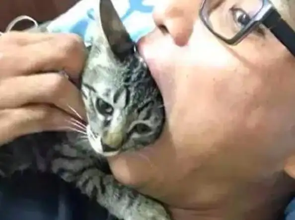 主人表演大口吞猫头,只是没想到下一秒,猫咪立马戏精上身了