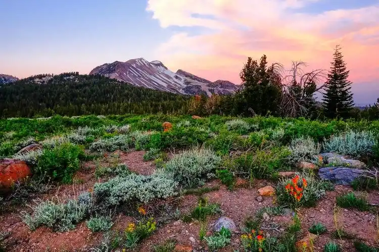 自然, 风景, 山, 谷, 山, 树, 木头, 夏天, 草, 环境