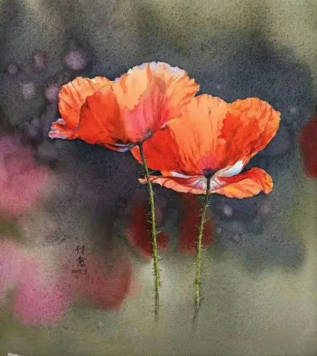 水彩画红罂粟.