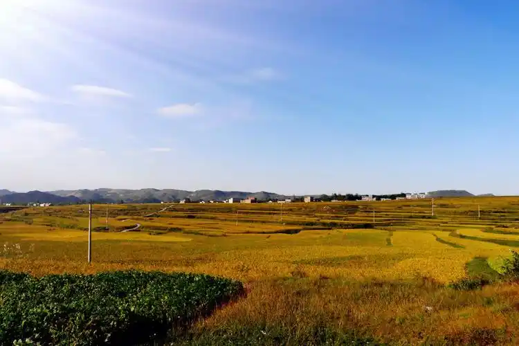 是什么地区答:川中就是四川盆地中部腹心地带的简称,又称川中丘陵地区