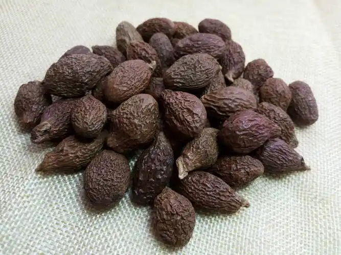 胖大海不能长期喝 胖大海服用最佳时间