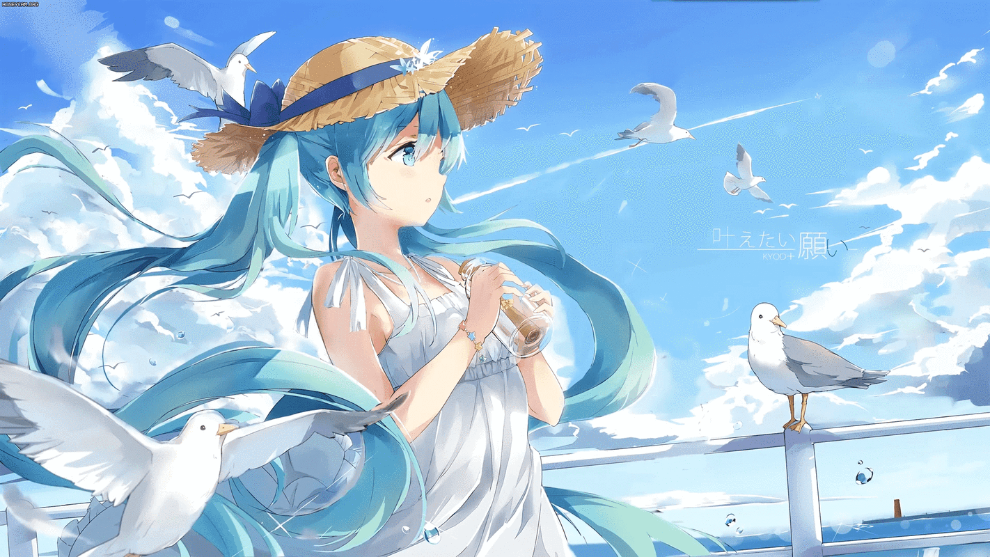 这个夏天,选个二次元老婆陪着你!