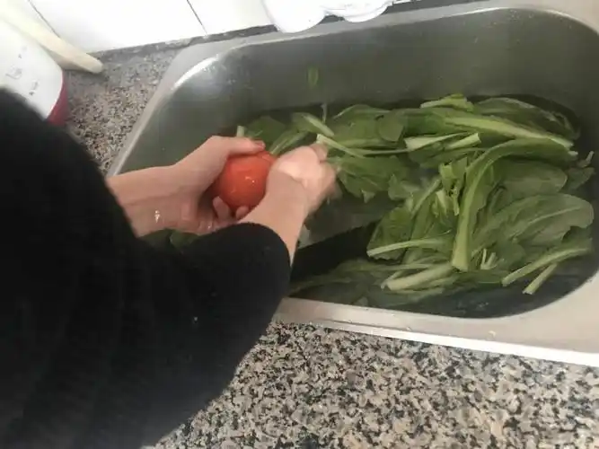 开始做饭,现洗菜