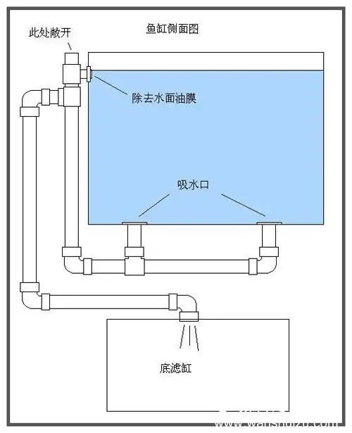 水族过滤循环(十三)底缸过滤(沙缸)