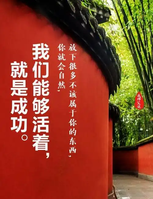 放下很多不该属于你的东西,你就会自然,我们能够活着,就是成功!