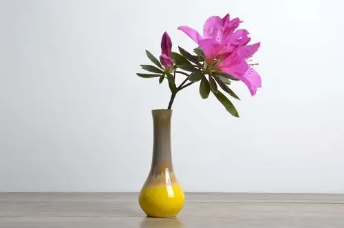 静雅陶瓷创意花瓶花插花器 家居软装饰品摆件工艺品水培一件代发