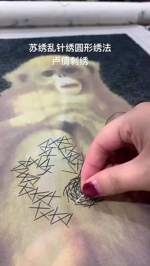 苏绣乱针绣圆形绣法,第三篇苏绣 苏绣传承 苏绣教程