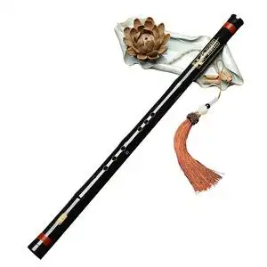 短萧乐器初学入门专业高档f紫竹洞箫笛八孔g调古风玉短箫随身小.