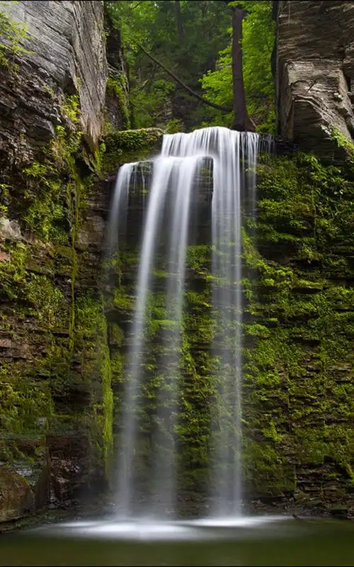 800_1280竖版 竖屏