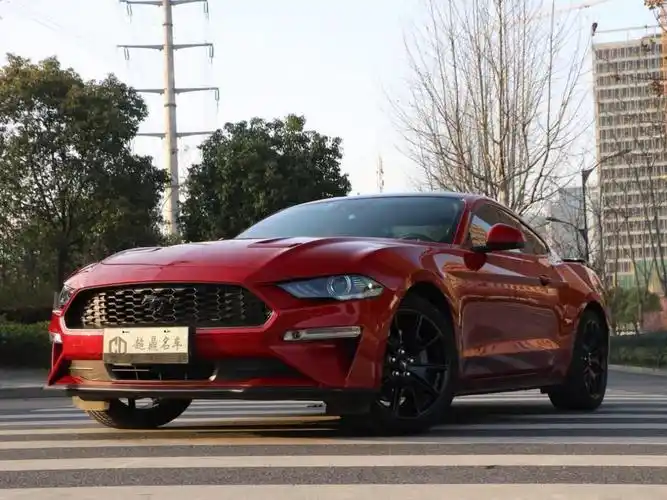 福特 mustang  2020款 2.3l ecoboost 黑曜魅影特别版图片