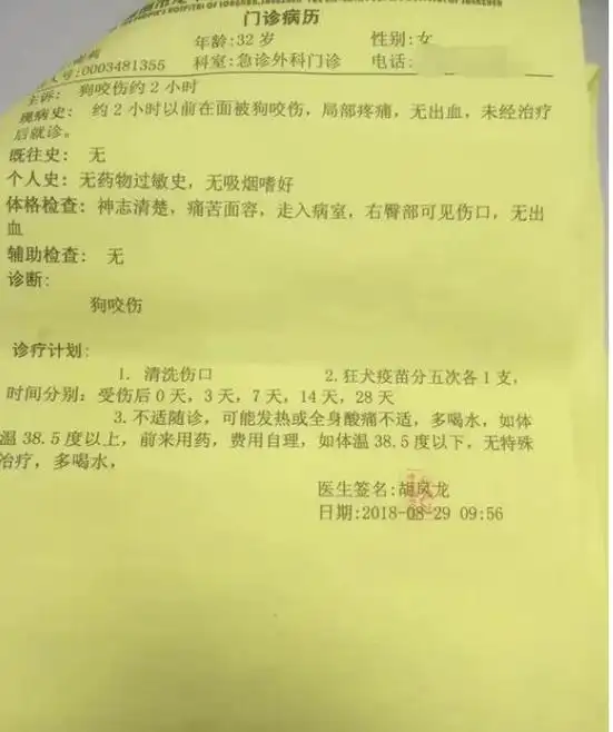 深圳一32岁孕妇被大狗咬伤屁股或将面临人流