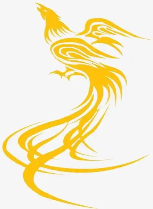 十大凤凰真实图片(十大凤凰图片大全)