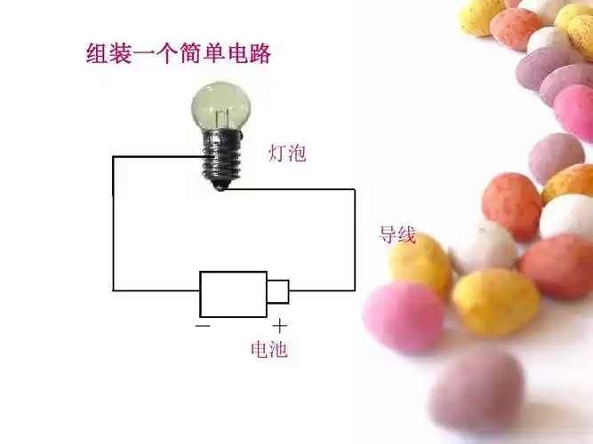 做个小开关》0331第1页 下一页 相关主题 你可能喜欢 简单电路 动物的