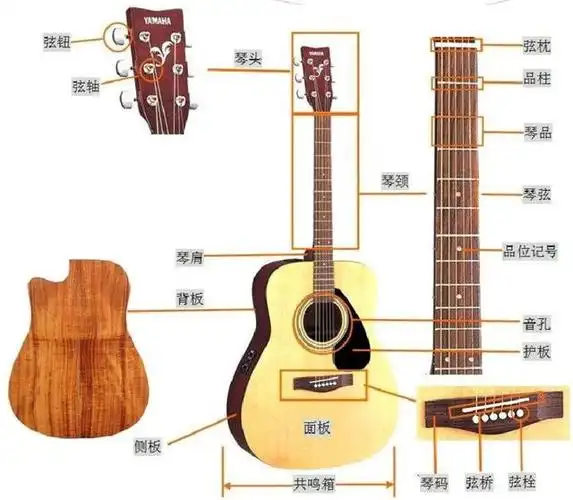 吉他的整个零部件的名称