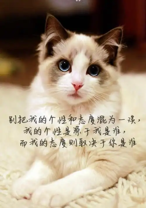 图片玩文字 一句话经典