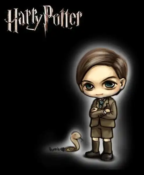 伏地魔简笔画卡通