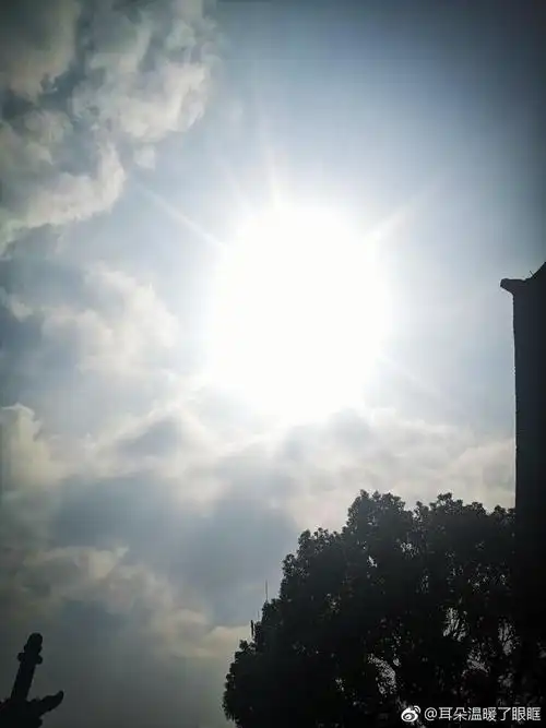 杭州终于出太阳了!限时供应 好好珍惜吧