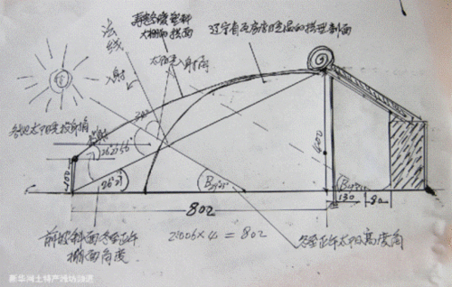 蔬菜温室大棚设计图纸