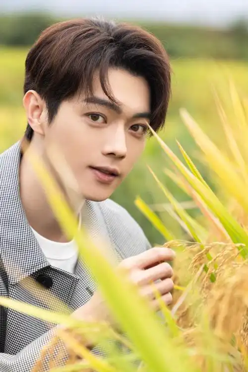 古德猫明许凯##许凯承欢记