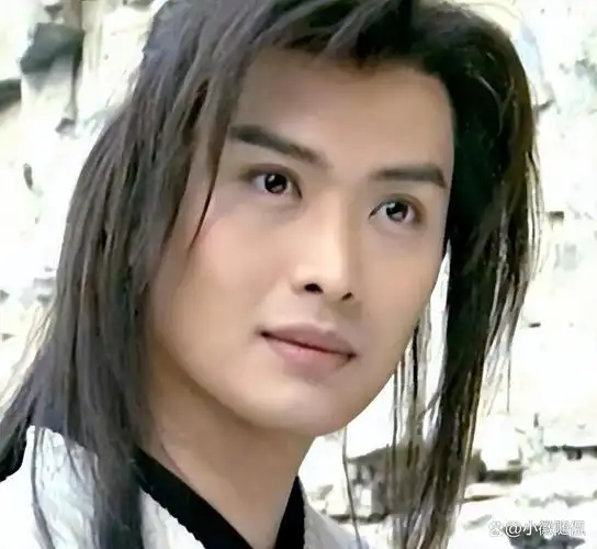 黄海冰主演影视剧大盘点:从武侠到古装的传奇之旅