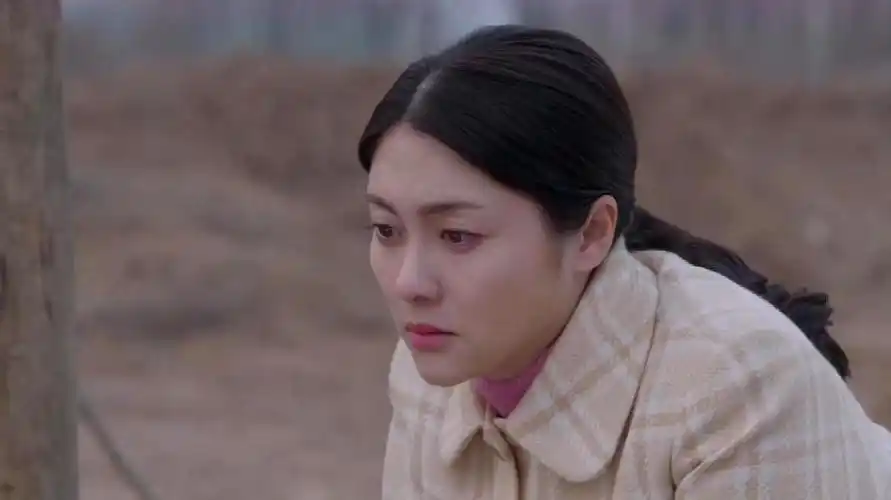 国内言情类电视剧推荐