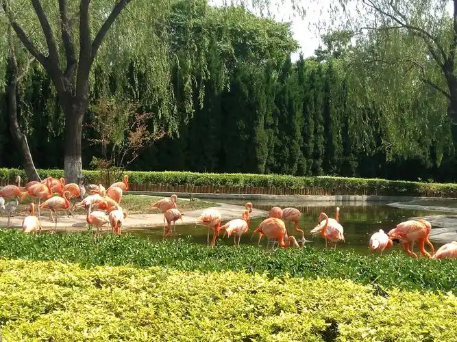 石家庄市动物园