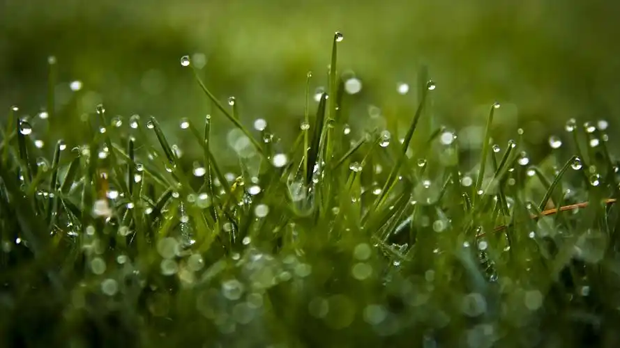 一滴水也是有生命的