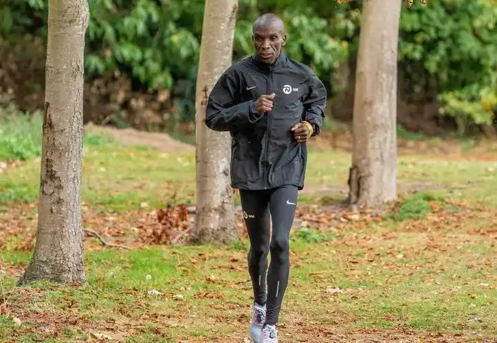 再战柏林,基普乔格能否再破世界纪录?_训练_马拉松_长跑