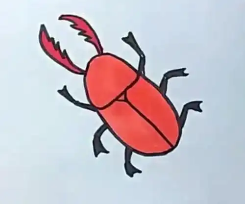 甲壳昆虫二年级简笔画