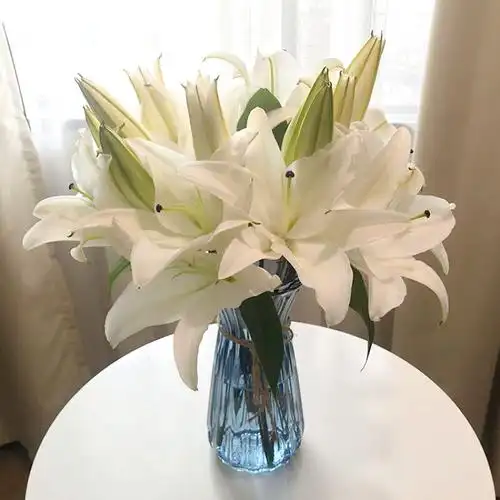 鲜百合鲜花云南直发批发新鲜香水百合鲜切真花家庭水养插花 白色百合