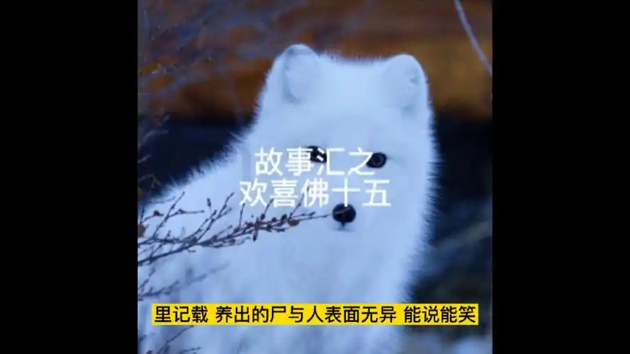 故事民间故事怪谈故事汇之欢喜佛十五