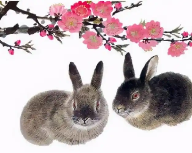 属兔2021年生肖运势 生肖属兔的2021年运势如何